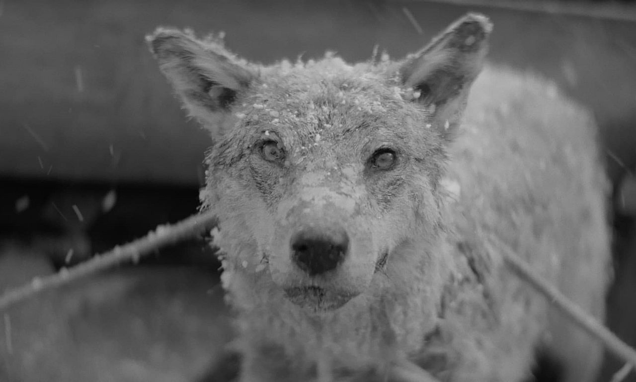 header image for January