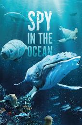 Spy in the Ocean
