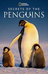 Secrets of the Penguins