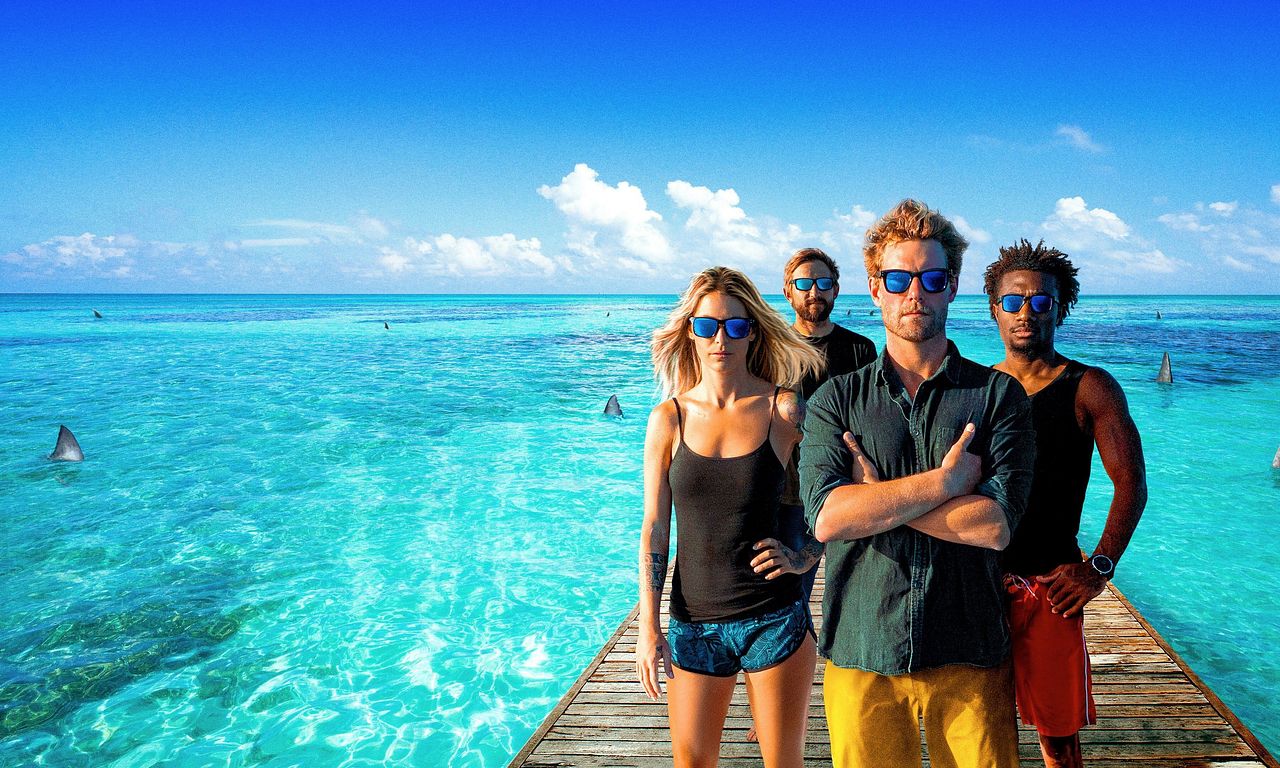 header image for Shark Academy
