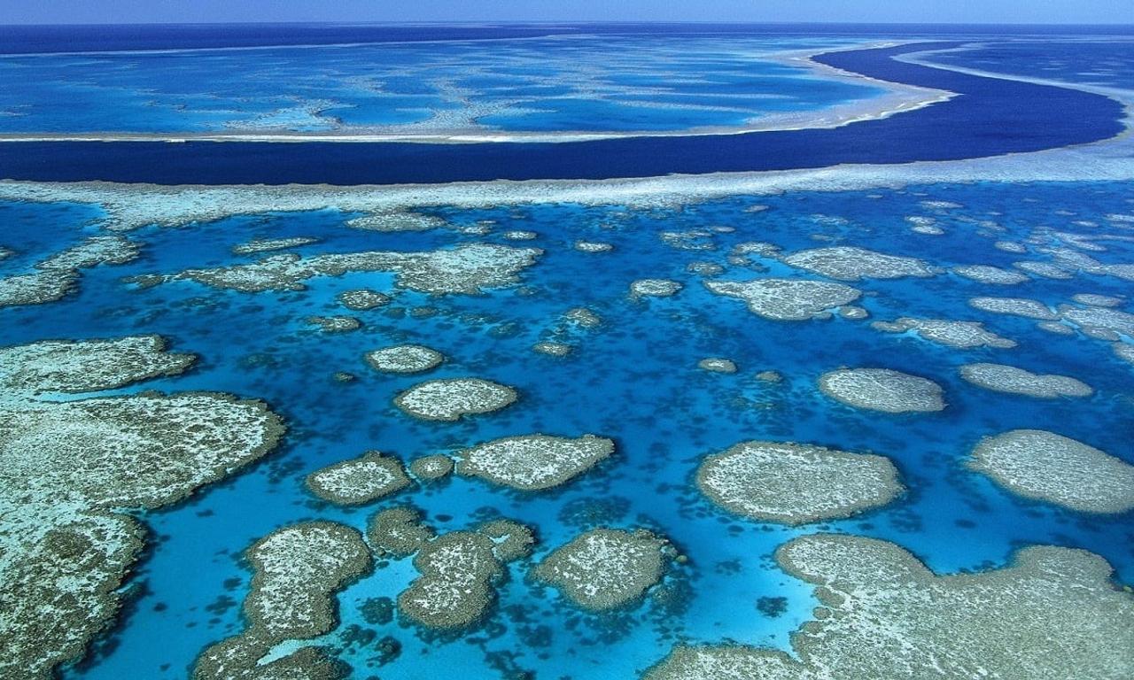 header image for Billy Connolly's World Tour of Australia