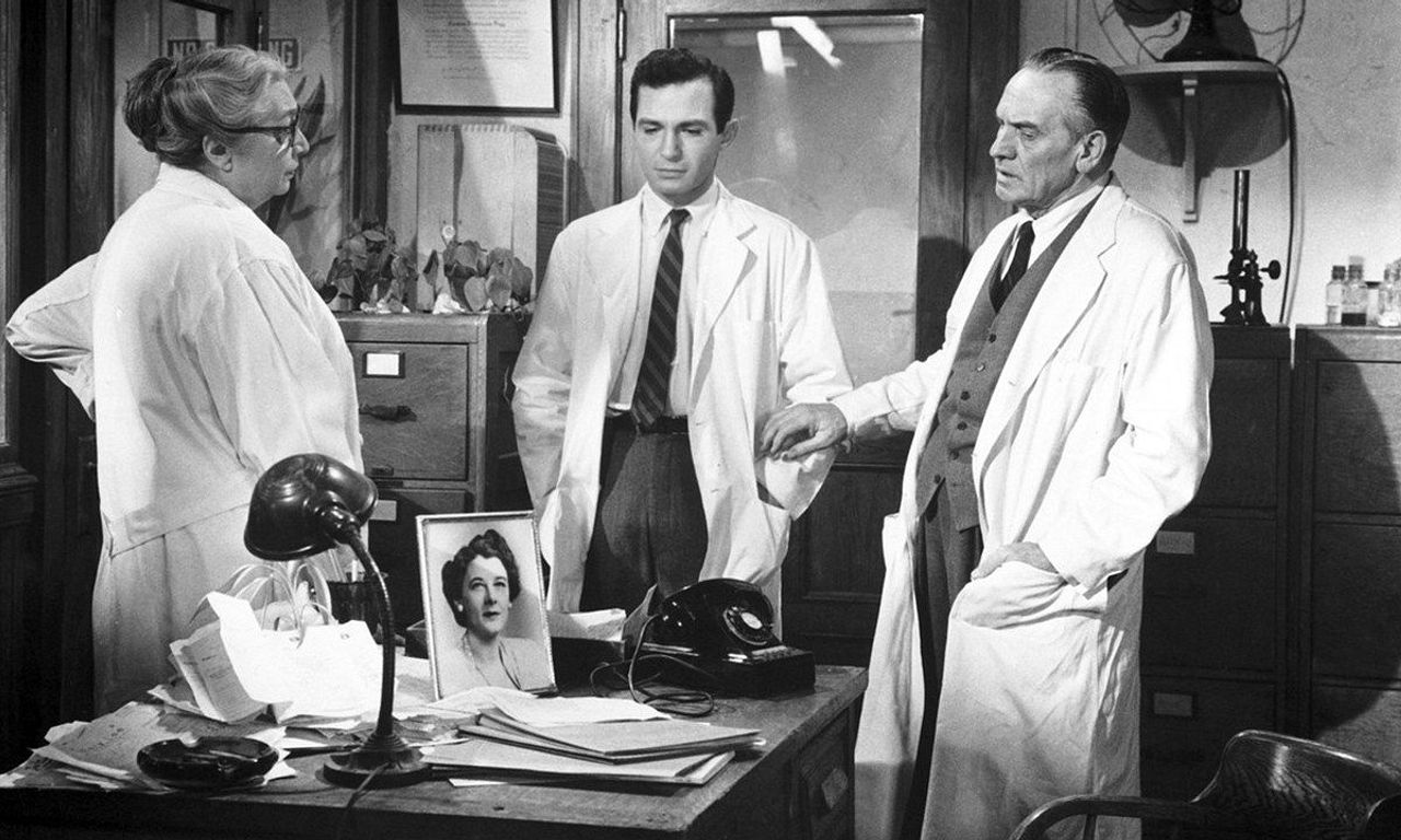 header image for The Young Doctors