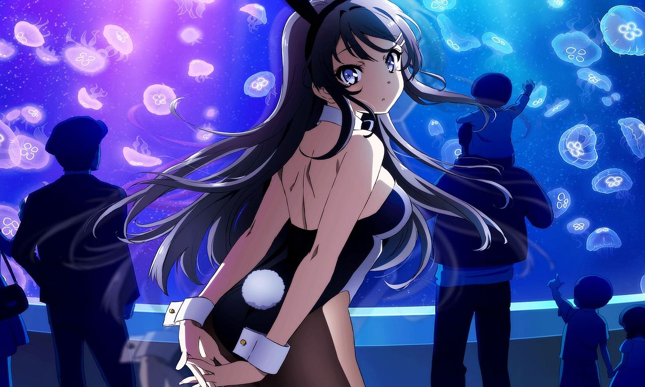 header image for Rascal Does Not Dream of Bunny Girl Senpai