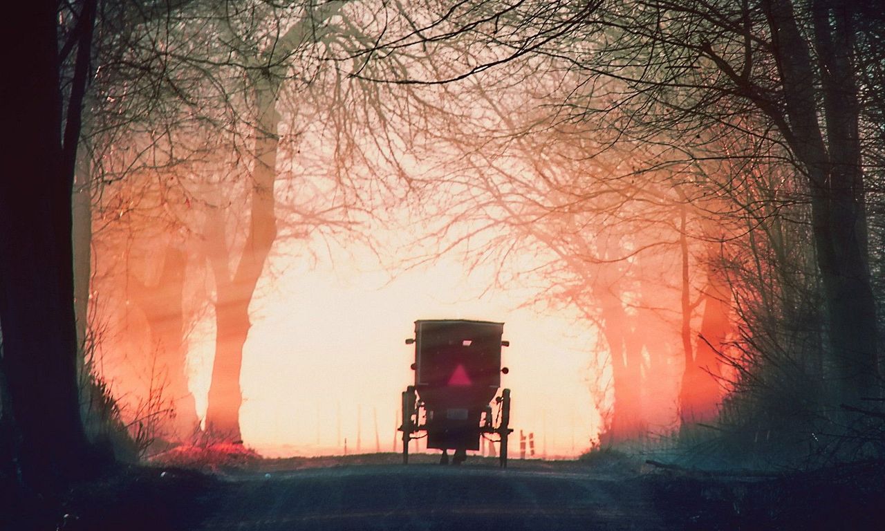 header image for Murder in Amish Country