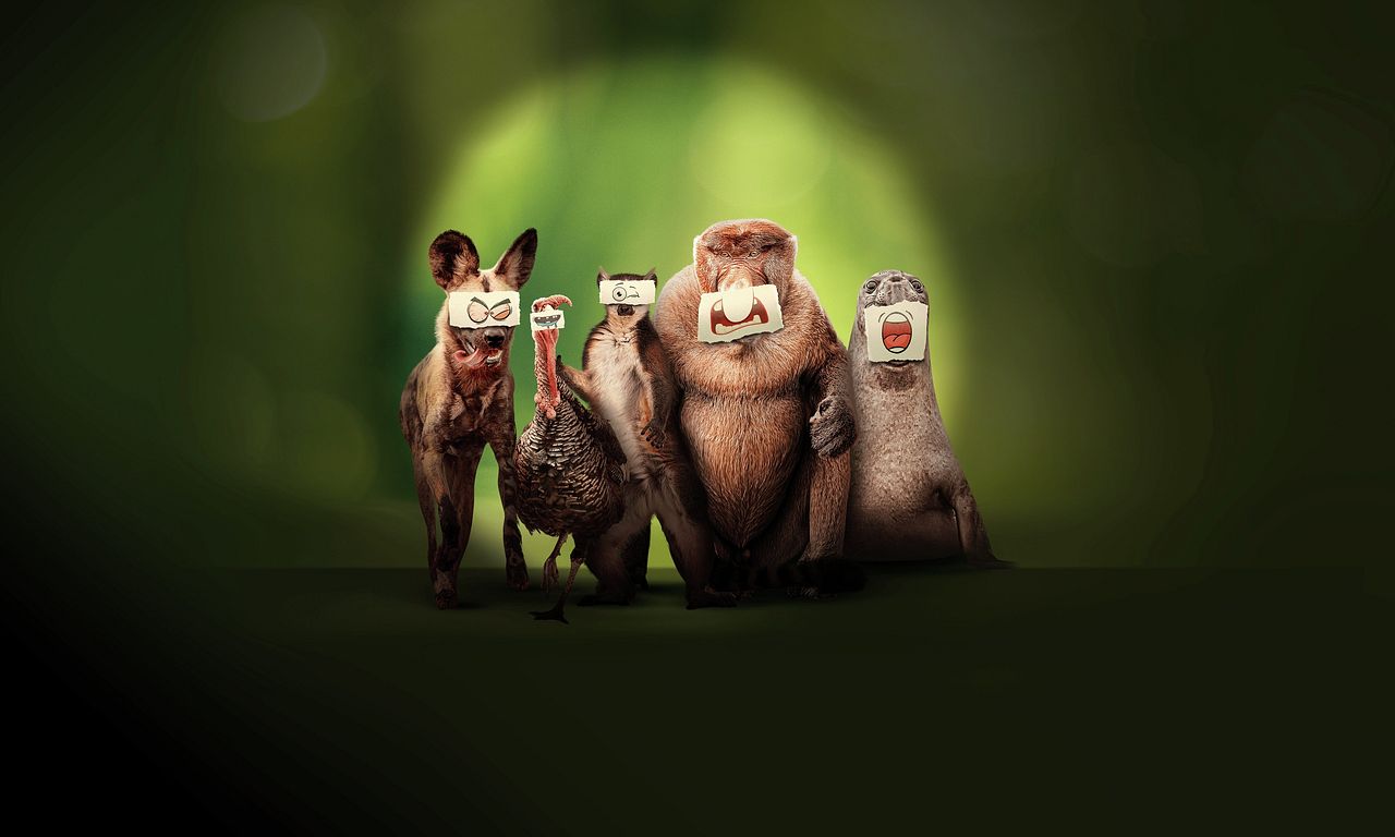 header image for Underdogs