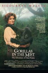 Gorillas in the Mist
