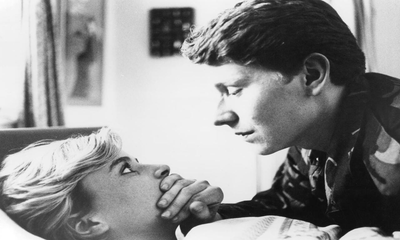 header image for Winter Flight