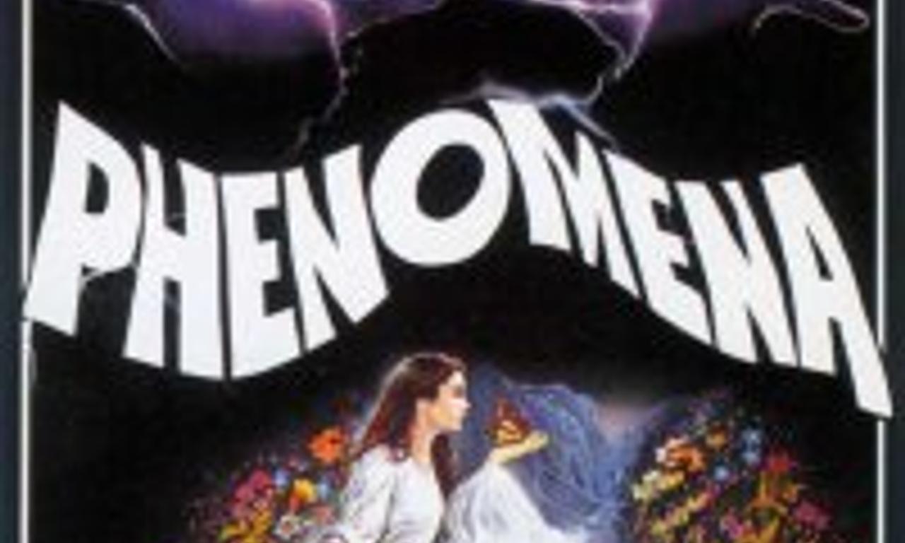 header image for Phenomena