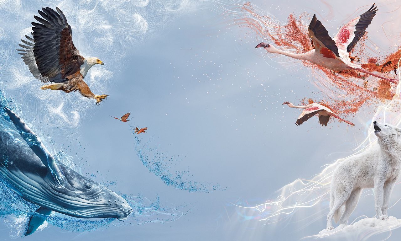 header image for A Perfect Planet