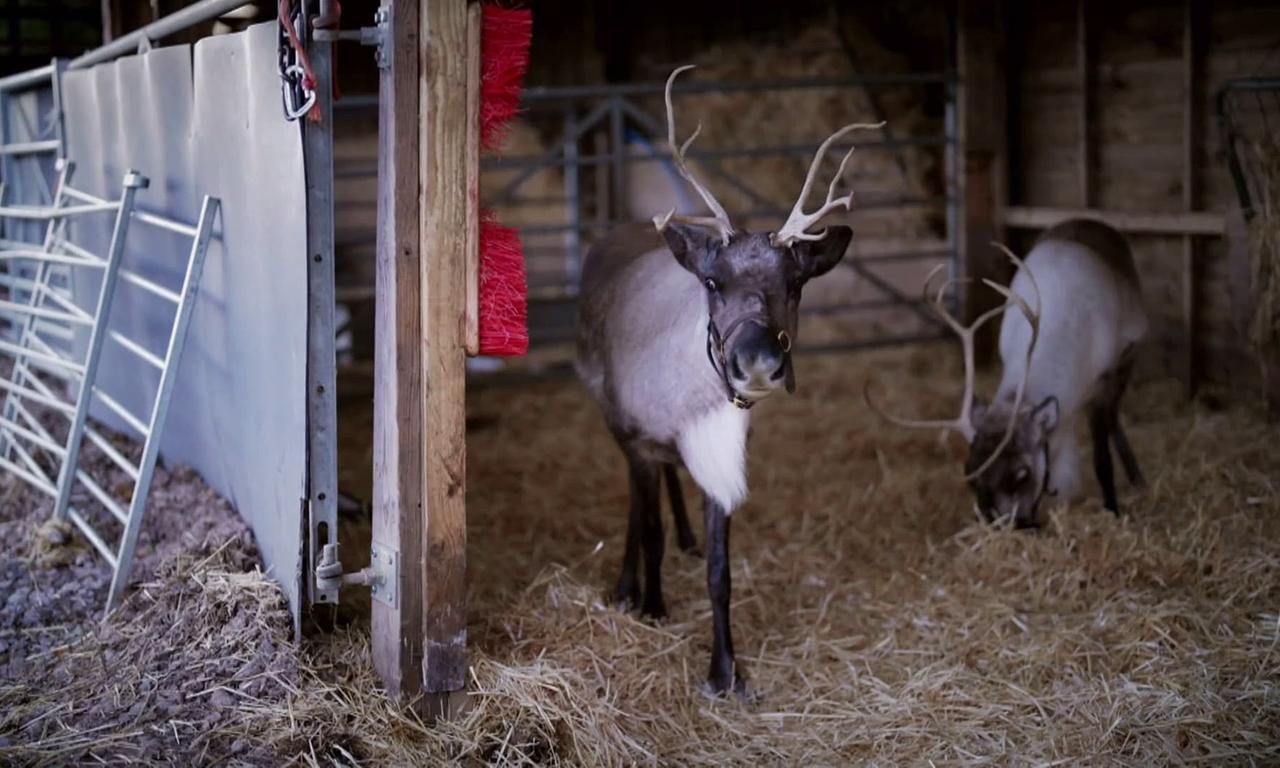 header image for Christmas in the Cotswolds