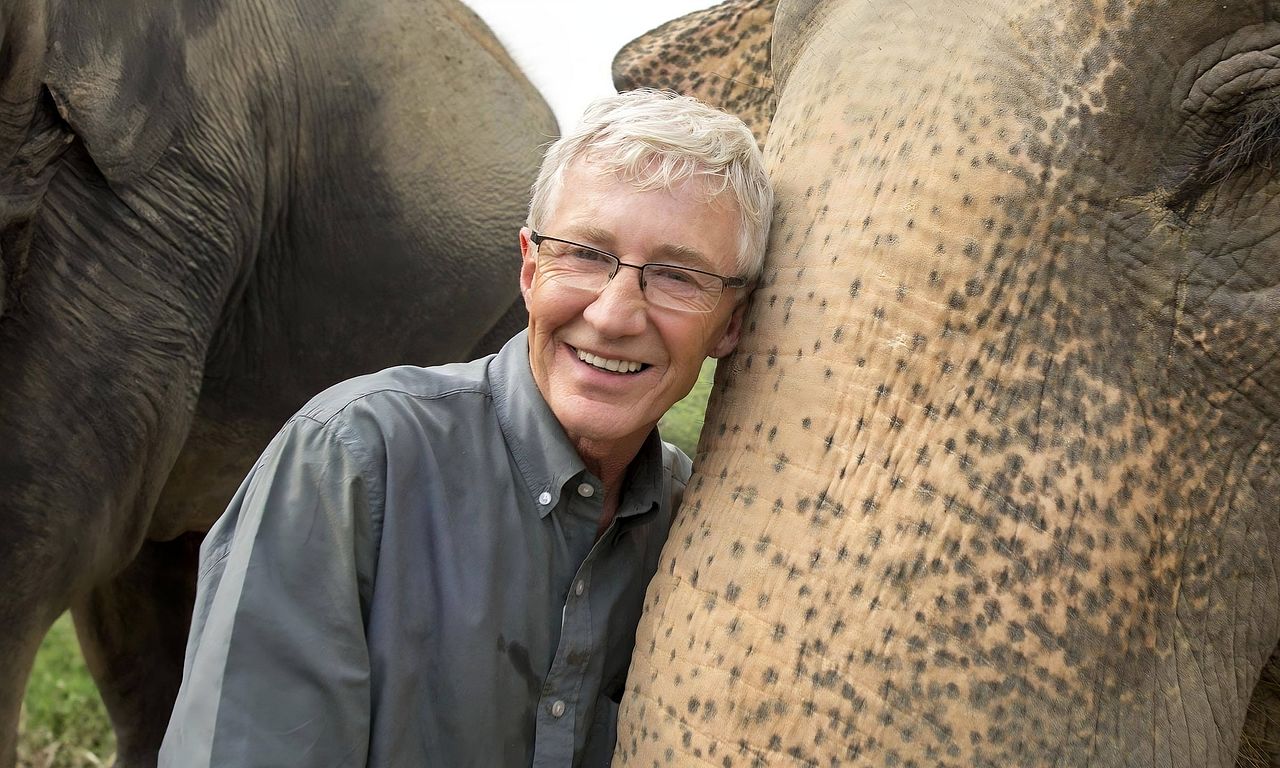 header image for Paul O'Grady's Great Elephant Adventure