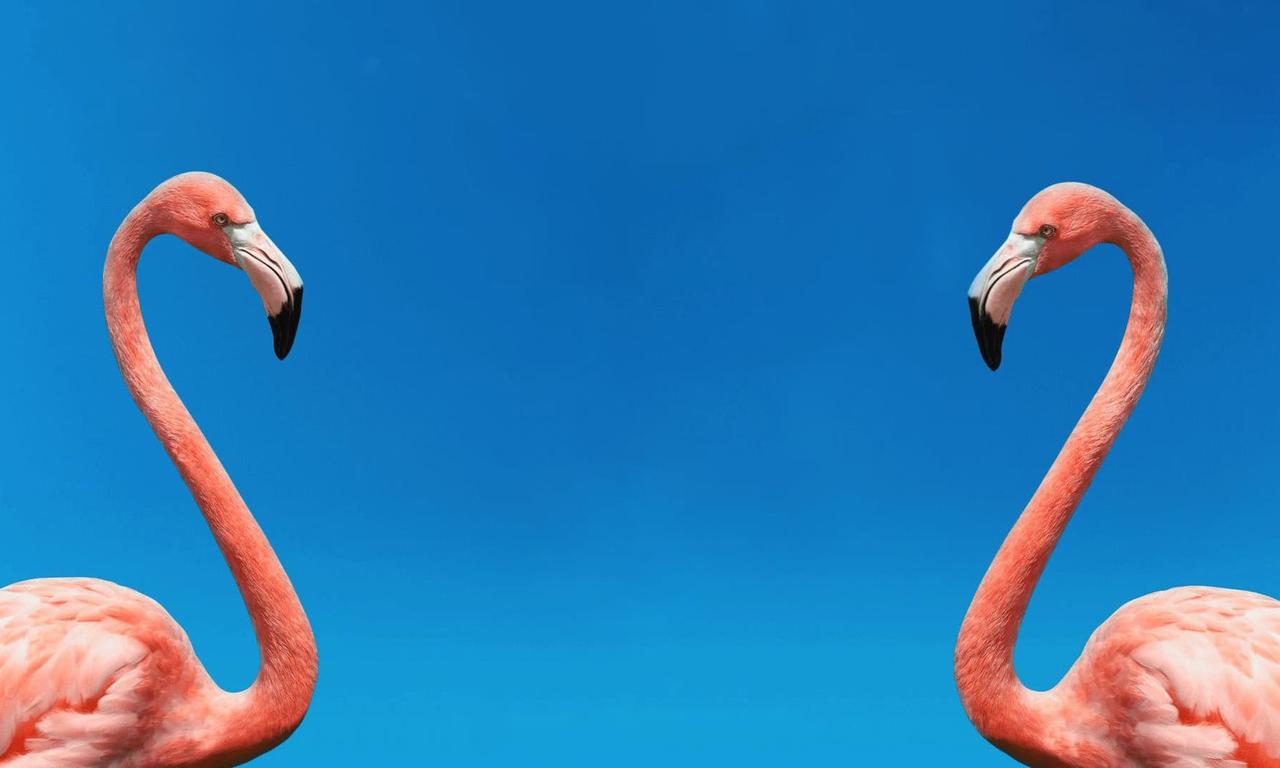 header image for The Mating Game