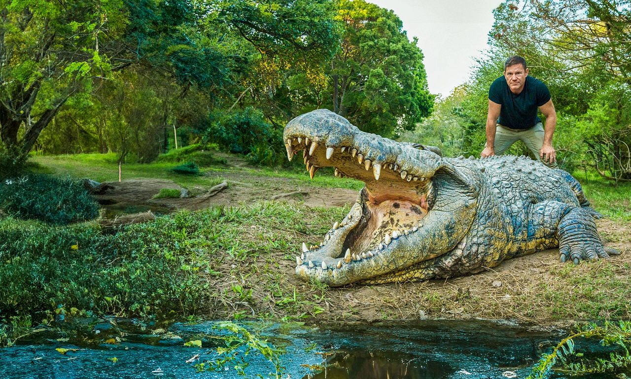 header image for Killer Crocs with Steve Backshall