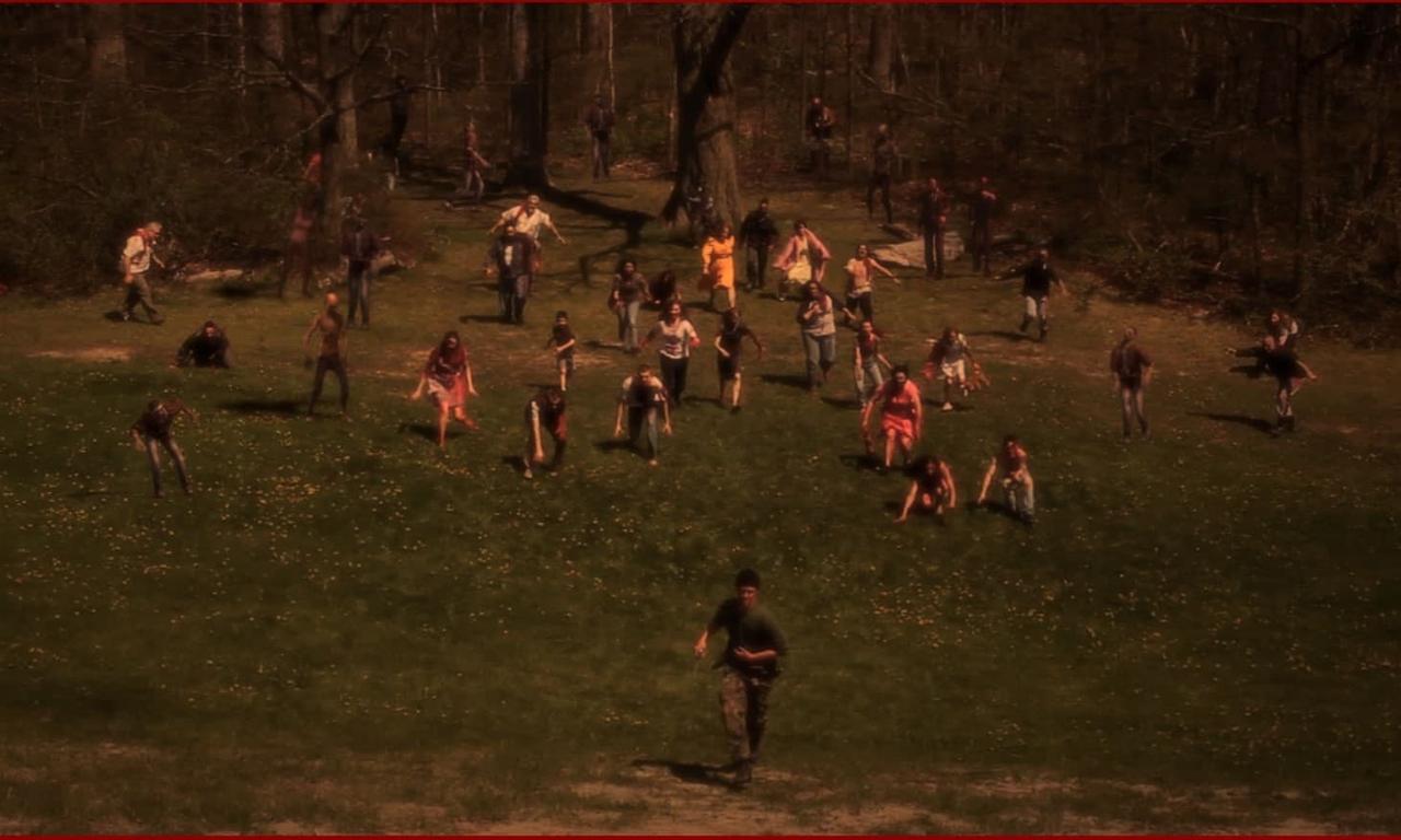 header image for The Stray