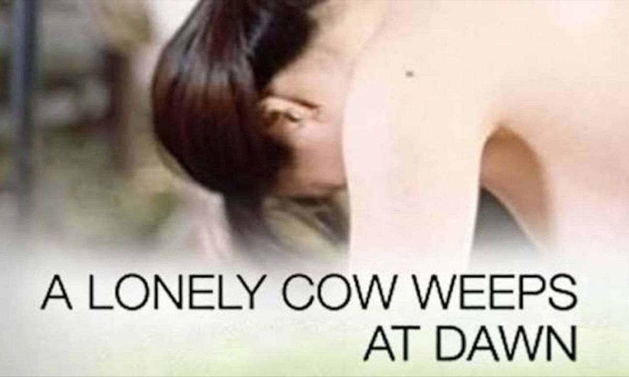 header image for A Lonely Cow Weeps at Dawn