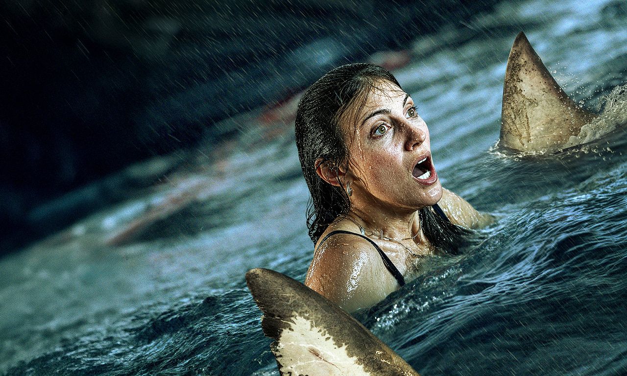 header image for Shark Thrash