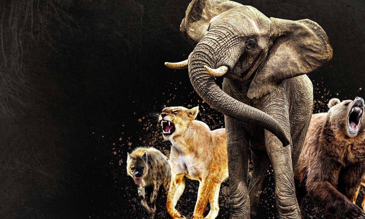 header image for Queens