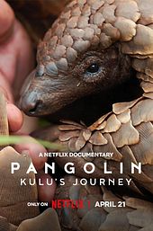 Pangolin: Kulu's Journey