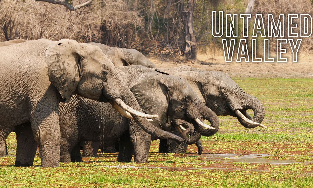 header image for Untamed Valley