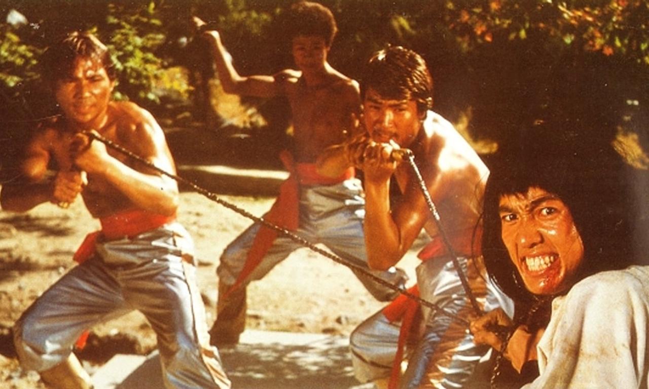 header image for Rivals of the Silver Fox