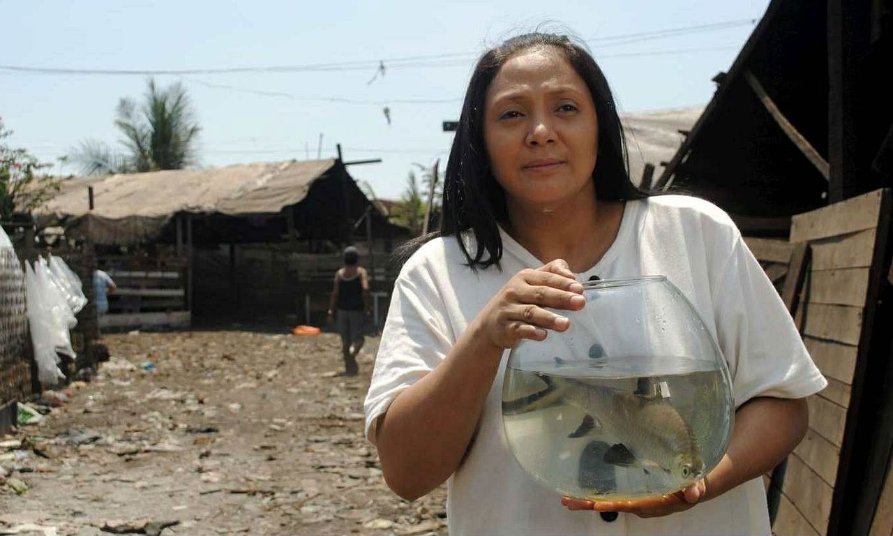 header image for Fable of the Fish