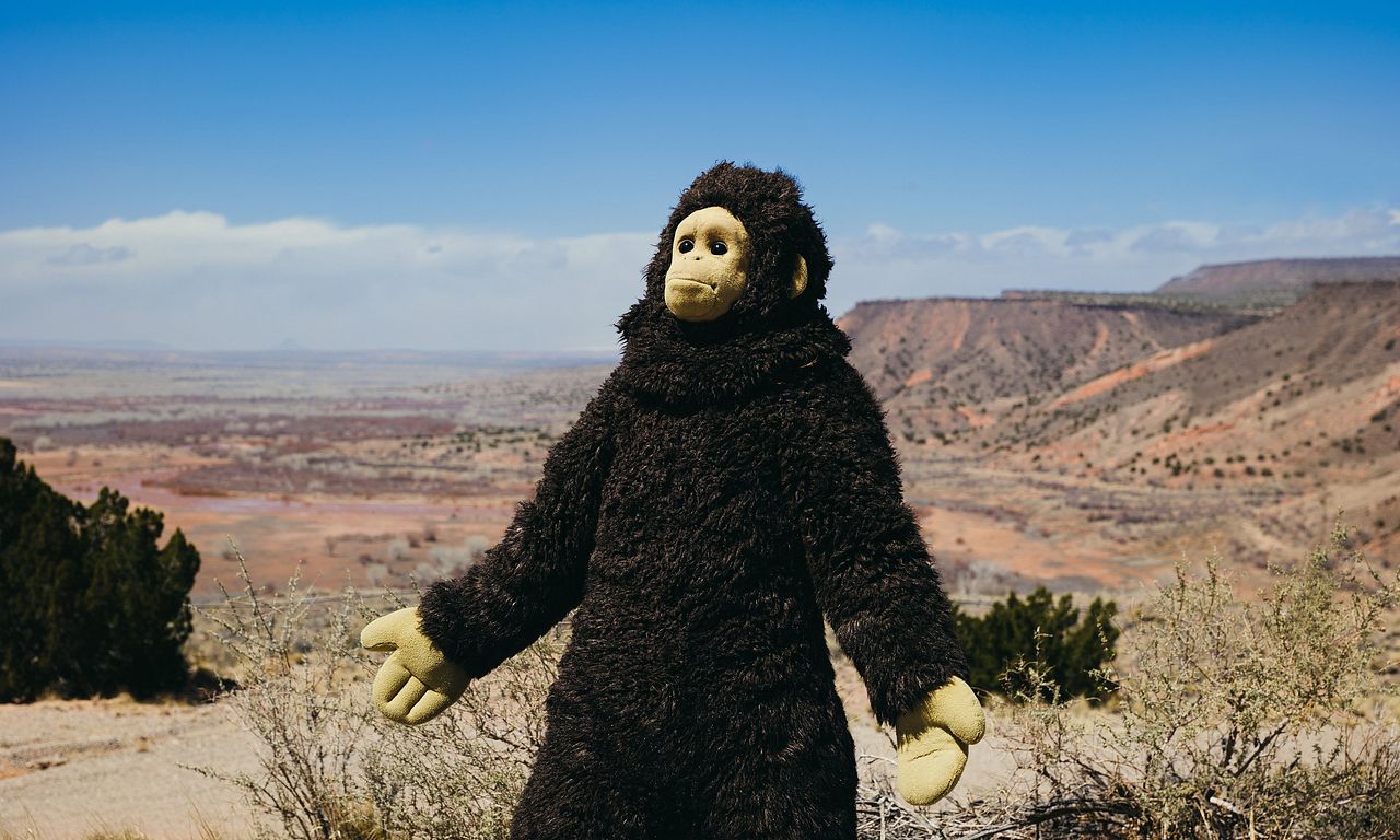 header image for Sunlight