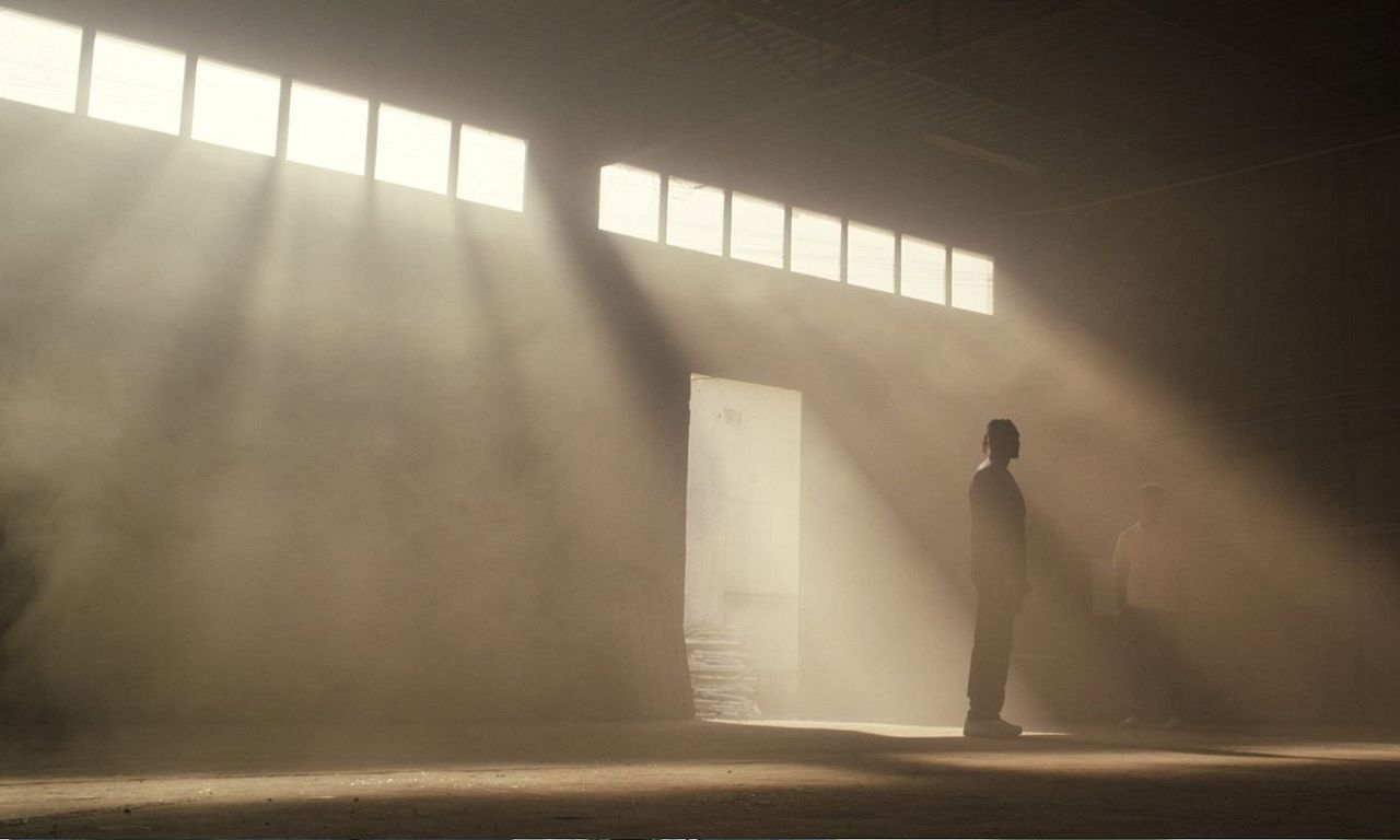header image for WHO