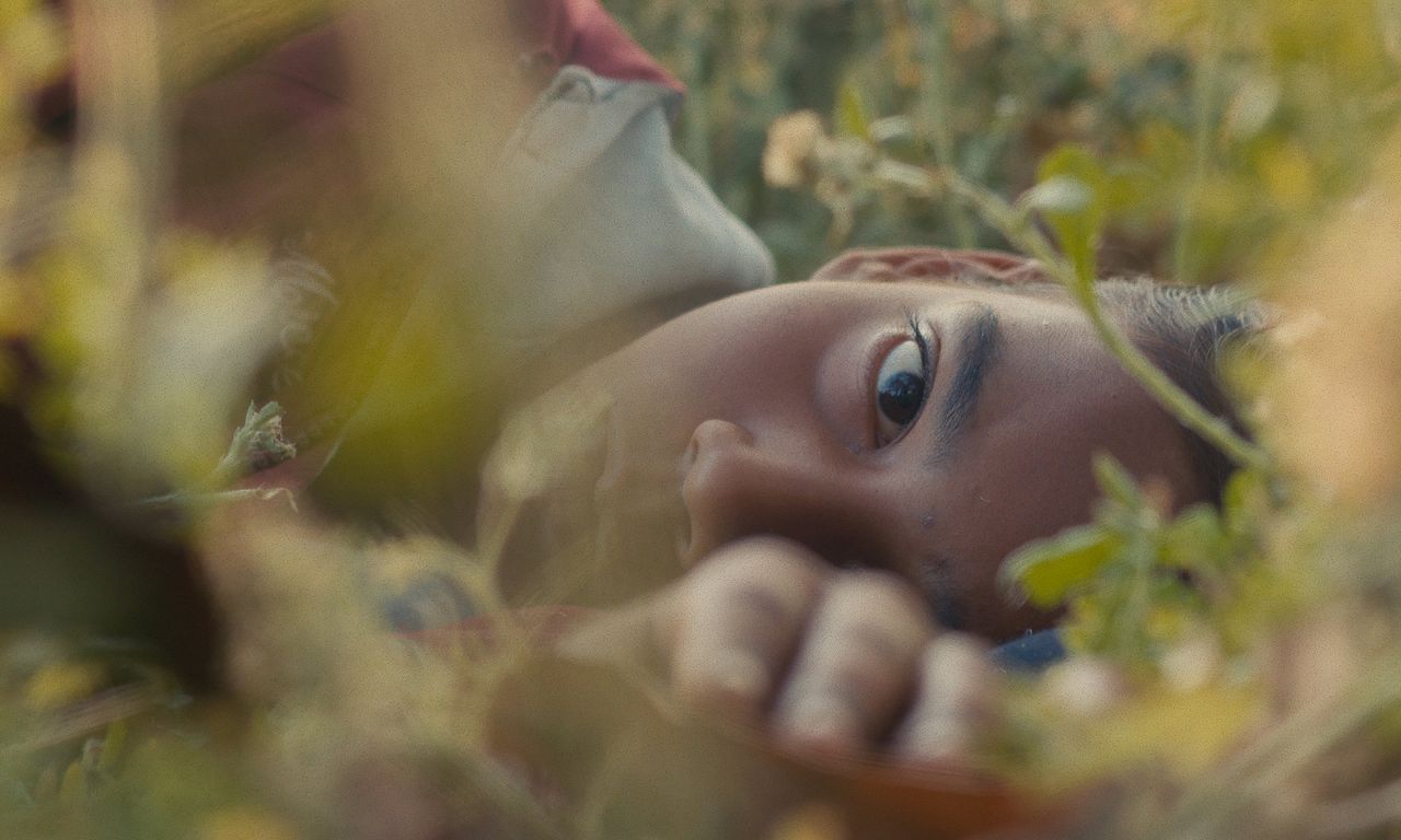 header image for Humans in the Loop