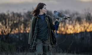 H Is for Hawk