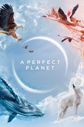 A Perfect Planet