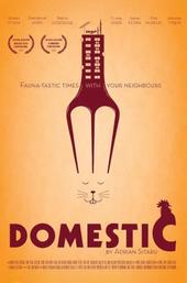 Domestic