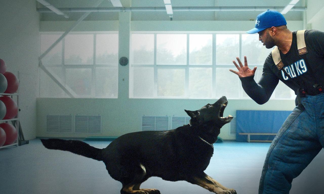 header image for Canine Intervention