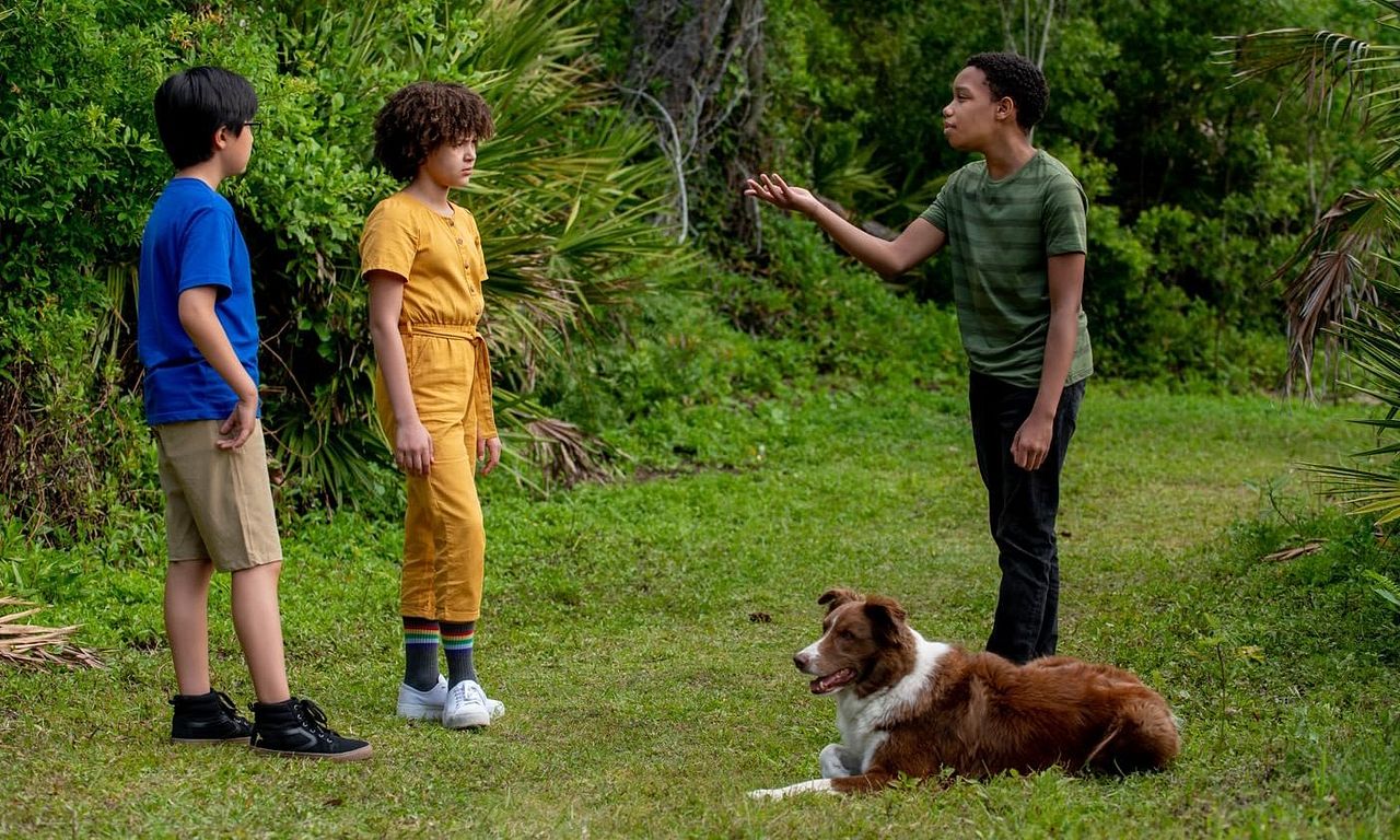 header image for Pet Investigators