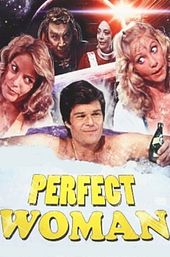 The Perfect Woman