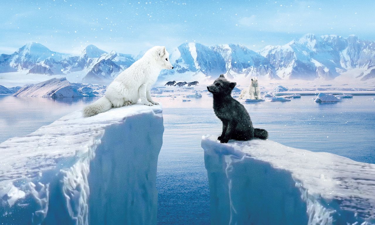 header image for Kina & Yuk