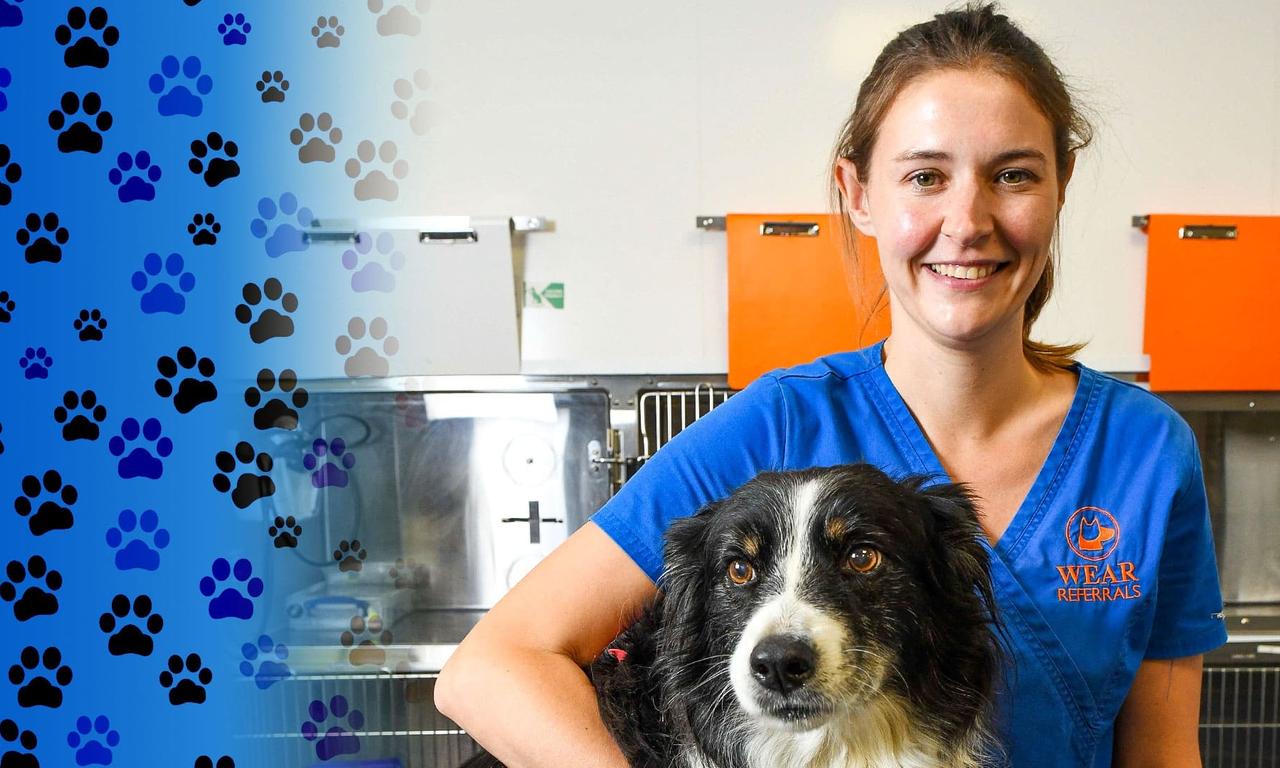 header image for 24/7 Pet Hospital