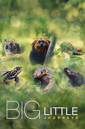 Big Little Journeys