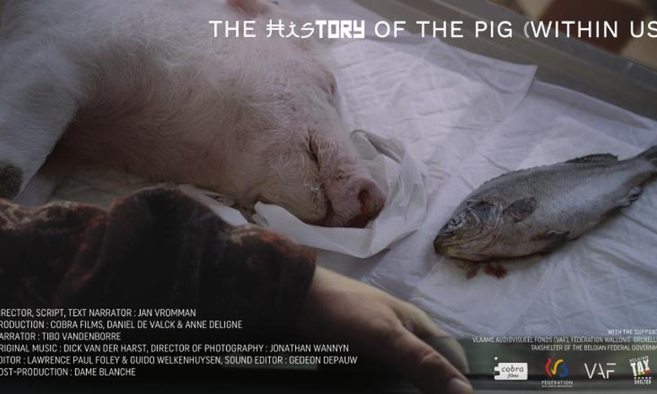 header image for The History of the Pig (Within Us)