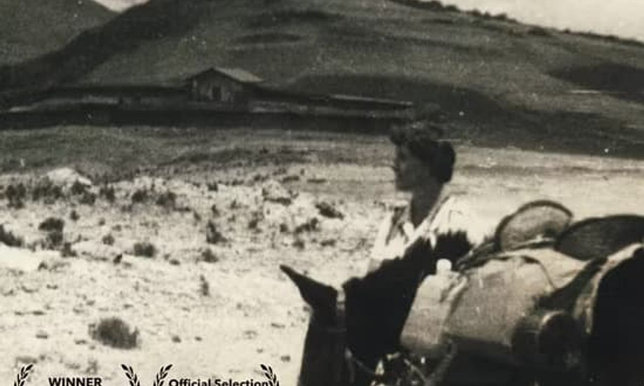 header image for Who is Dervla Murphy?