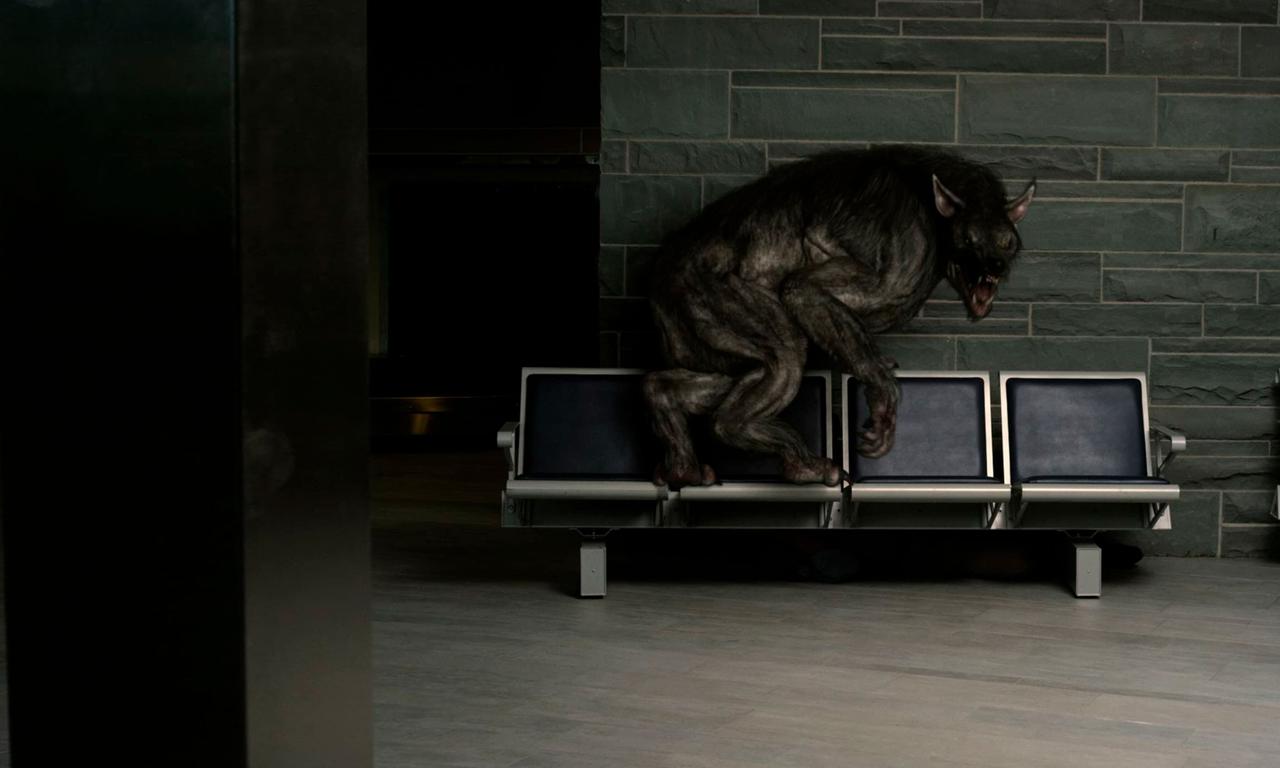 header image for Battledogs