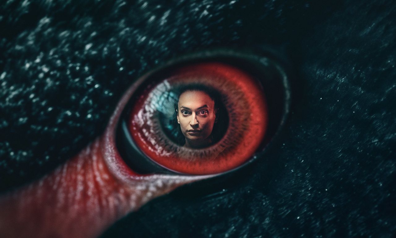 header image for The Black Swan