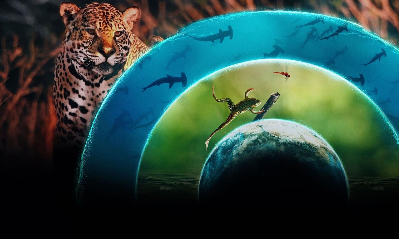 header image for Our Living World