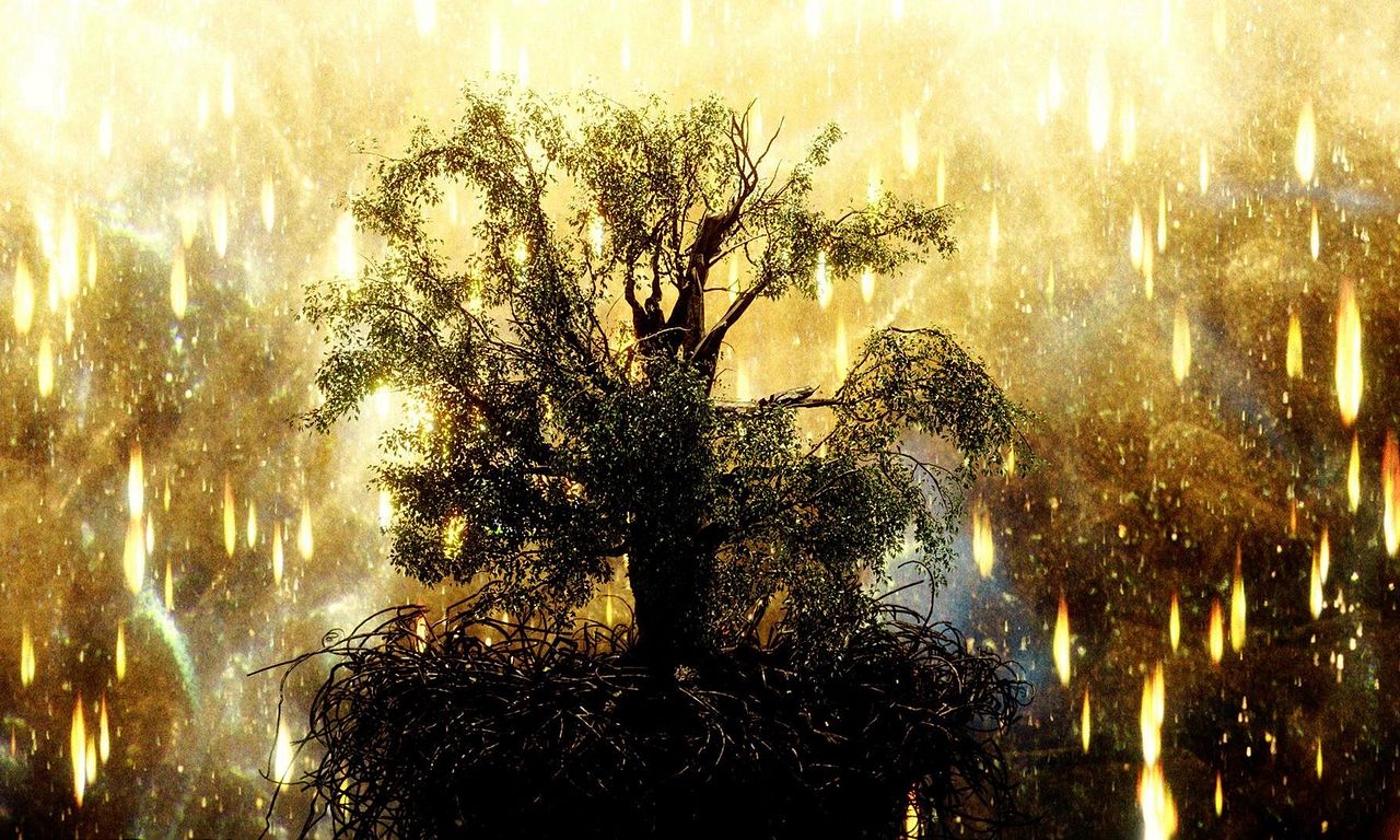 header image for The Fountain