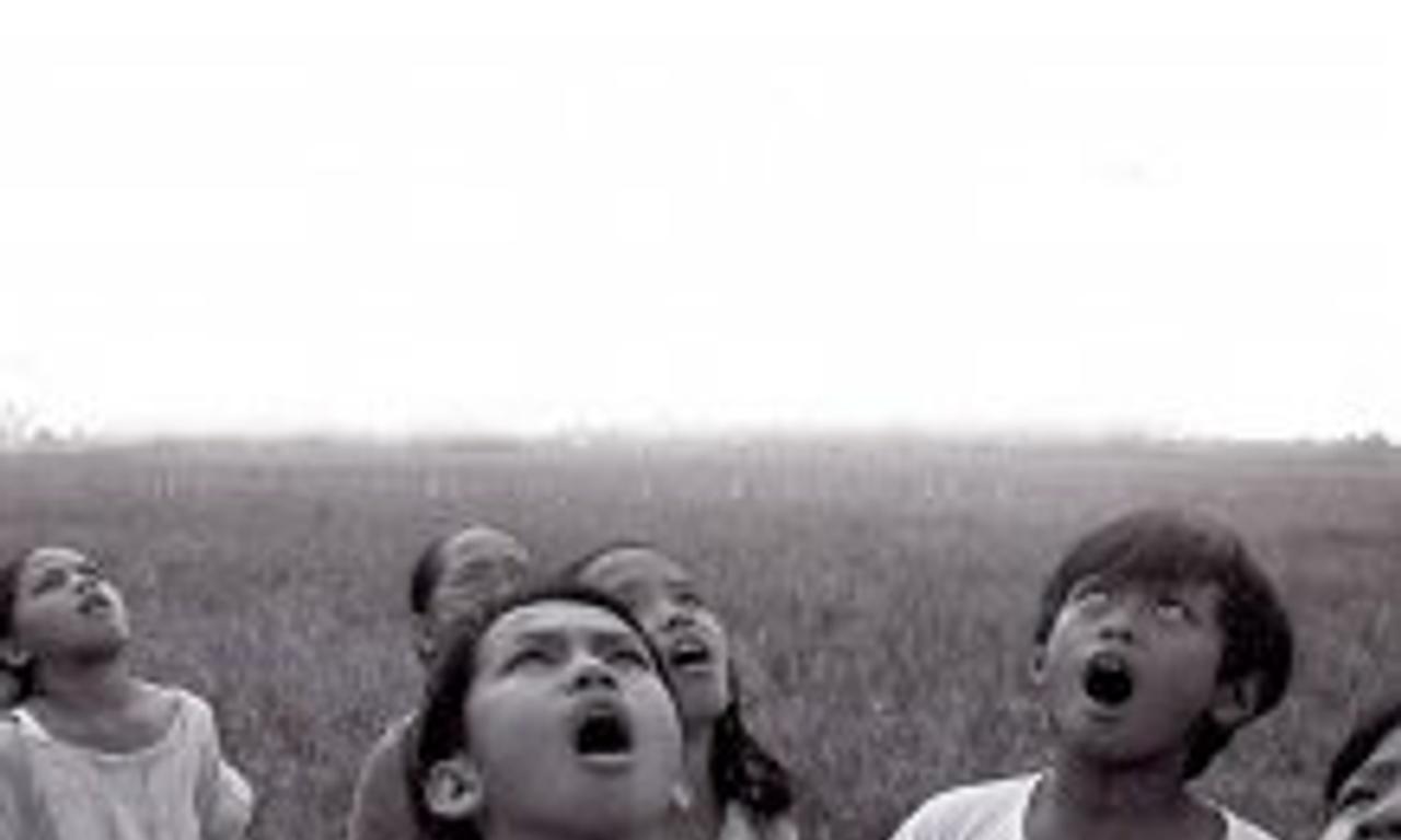 header image for A Short Film About the Indio Nacional