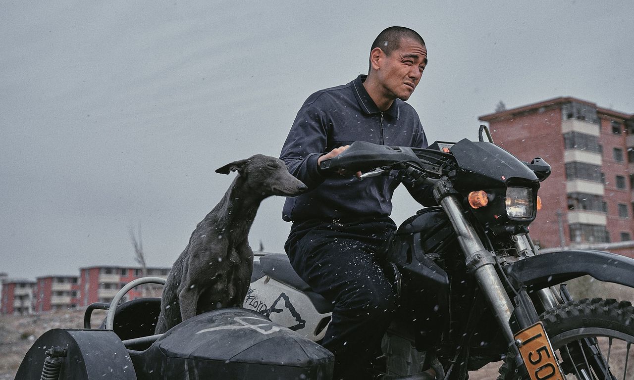 header image for Black Dog