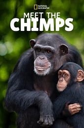 Meet the Chimps