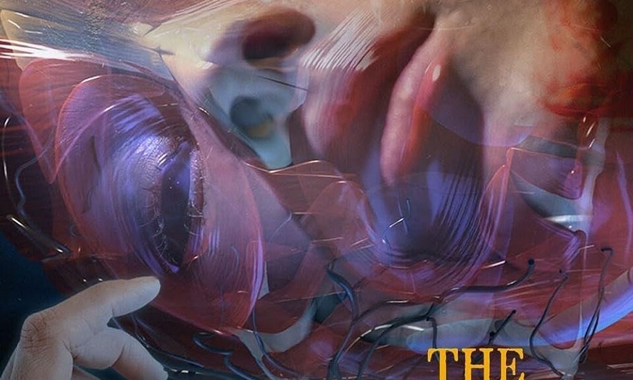 header image for The Truth About My Murder