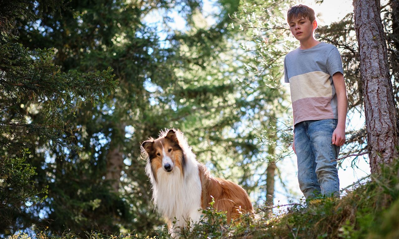 header image for Lassie: A New Adventure