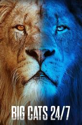 Big Cats 24/7