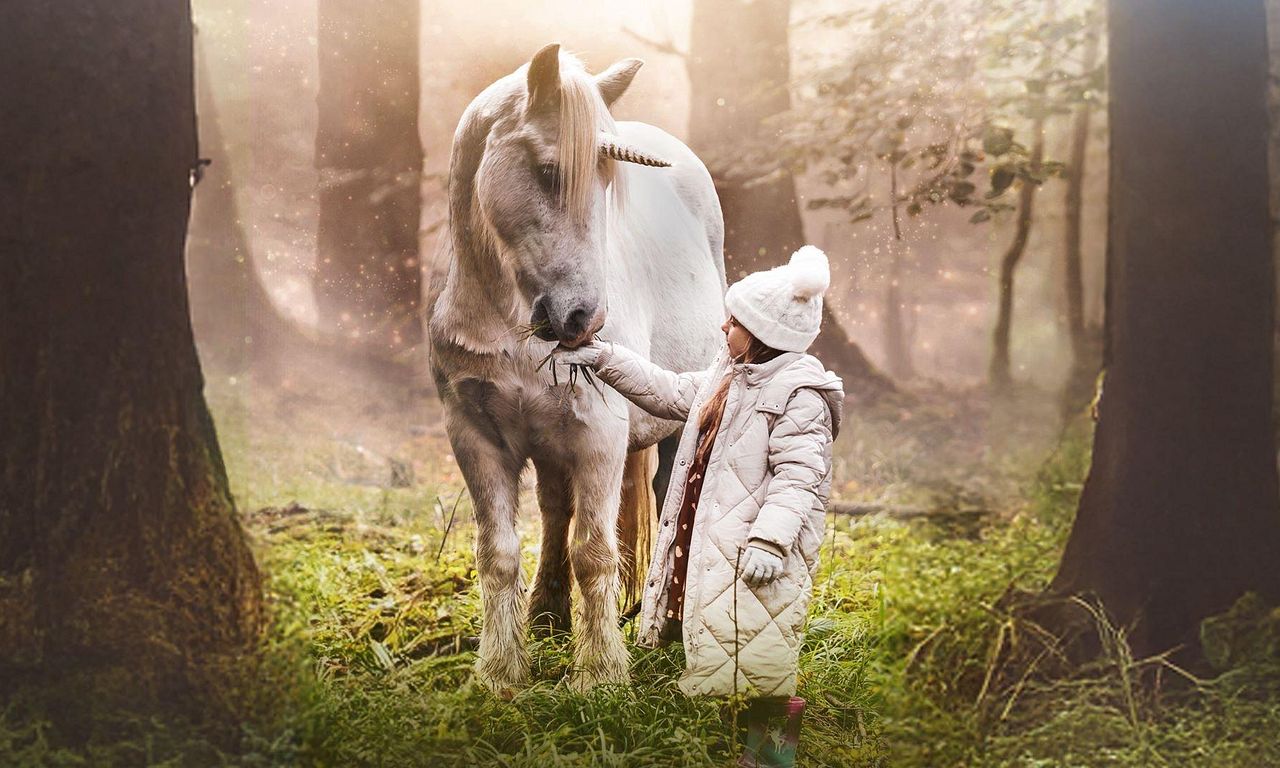 header image for Tale of the Forest Unicorn